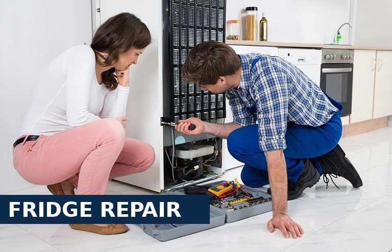 Fridge Repair Roehampton